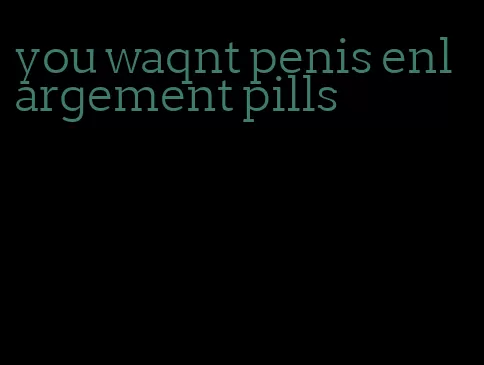 you waqnt penis enlargement pills